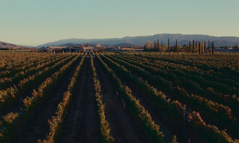 Drone still over San Diego captured by a complete San Diego wedding videographer FAQ (2025) shoot